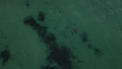 Eine-Tracking-Luftaufnahme-Von-Schwimmenden-Delfinen-Auf-Der-Oberfläche-Des-Offenen-Wassers