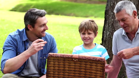 tres generaciones de hombres teniendo un picnic