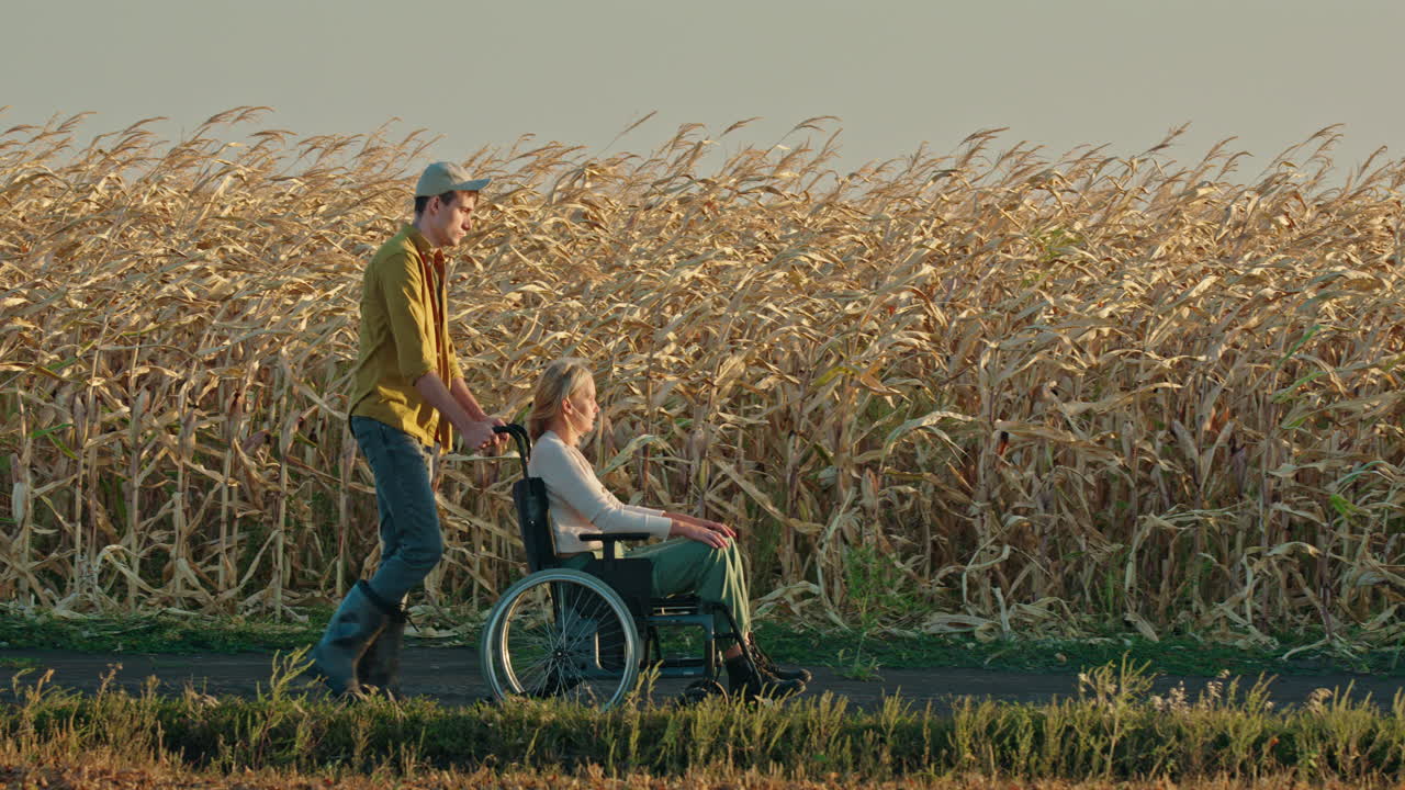 한 남자 가 옥수수  을 가로질러 체어 에 앉은 여자 를 밀고 있다