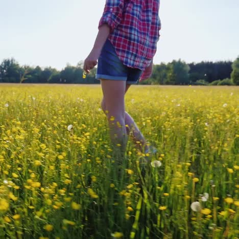 Eine-Frau-Geht-Bei-Sonnenuntergang-Eine-Schöne-Wiese-Mit-Blumen-Entlang,-Nur-Die-Beine-Sind-Im-Rahmen-Sichtbar