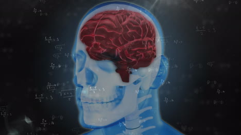 animación de un modelo giratorio de cabeza humana, cerebro y fórmulas matemáticas sobre fondo negro