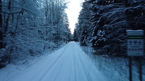 beautiful scenic aerial view of a winter forest in sunny winter day, trees covered with fresh snow, ice and snow covered road, wide angle drone shot moving forward over the road