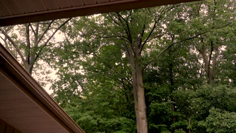High angle of a roof and forest, showing off the a light summer rain, color graded to a warm look