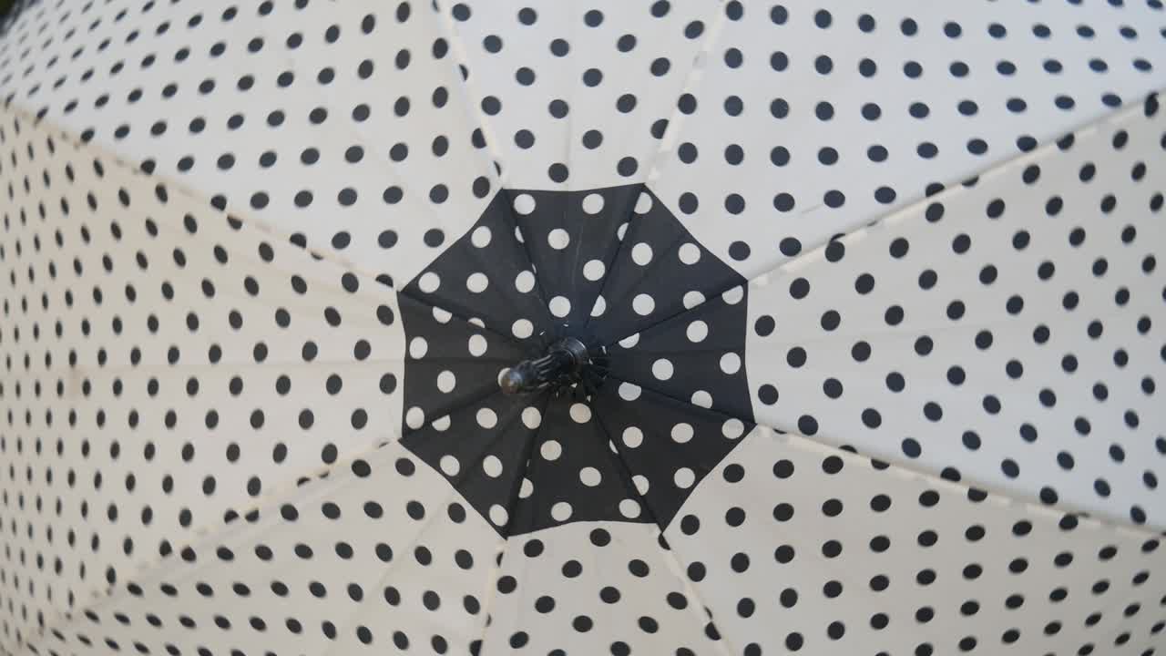 Black and white polka dot umbrellas turns.