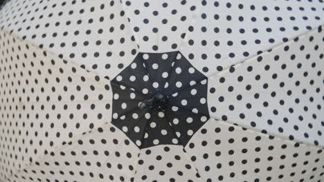 black and white polka dot umbrellas turns.
