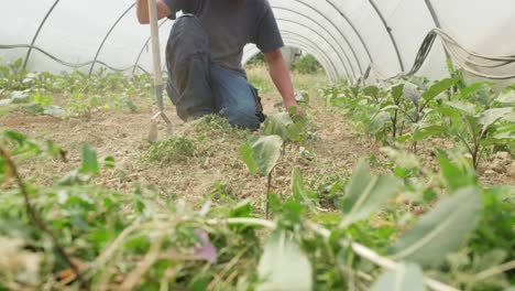 un joven agricultor caucásico prepara la tierra con una herramienta agrícola de rastrillo de madera