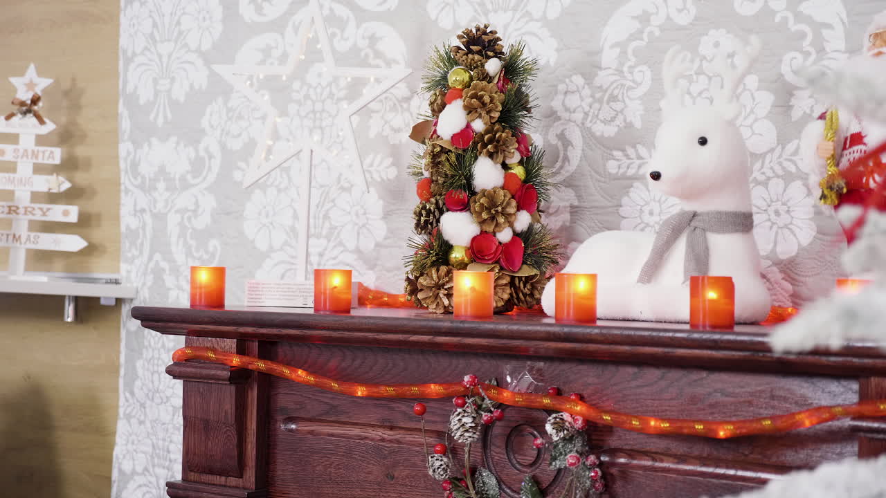 Christmas Decorations and Holiday Decor