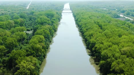 Forward-moving-shot-over-a-canal-amidst-a-thick-forest-covered-ground