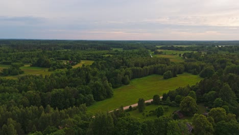 green meadows and forests, aerial view