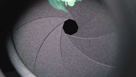 카메라 렌즈 어리 클로즈업: 촬영 중에 어리가 열리고 닫히는 모습
