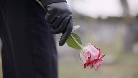 Beerdigung,-Friedhof-Und-Hände-Einer-Person-Mit-Blume