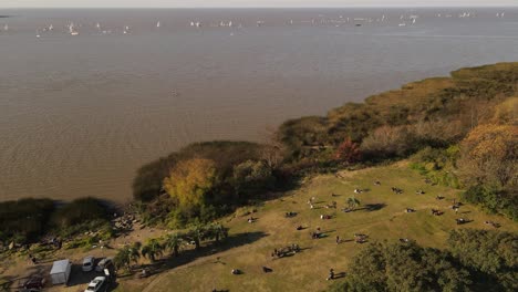 aerial shot showing relaxing people in park in front of river in buenos aires