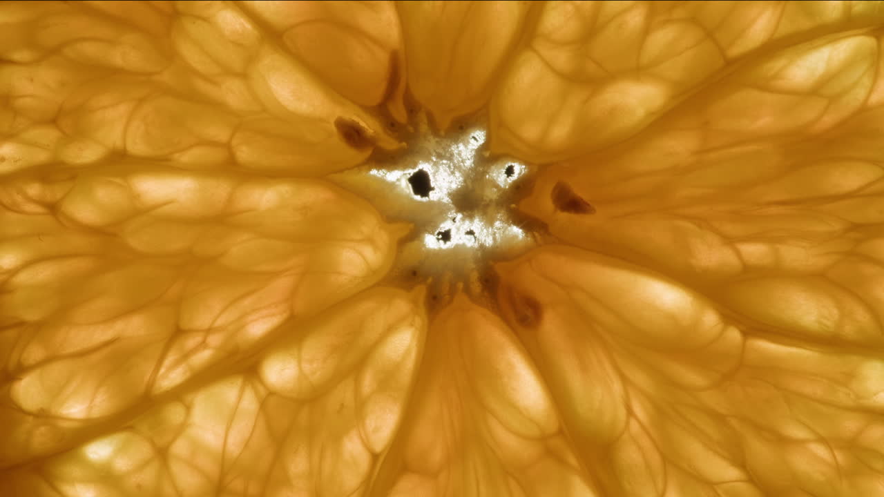 Primo piano macro di fetta d'arancia retroilluminata