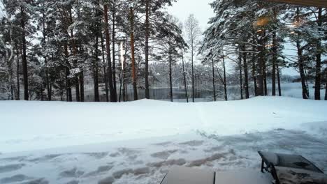 the shot of snowy pine tree forest and lake landscape through the window in winter