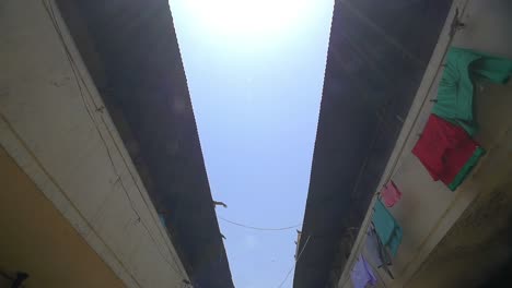 Tracking-Shot-of-Eagles-Flying-Over-Street