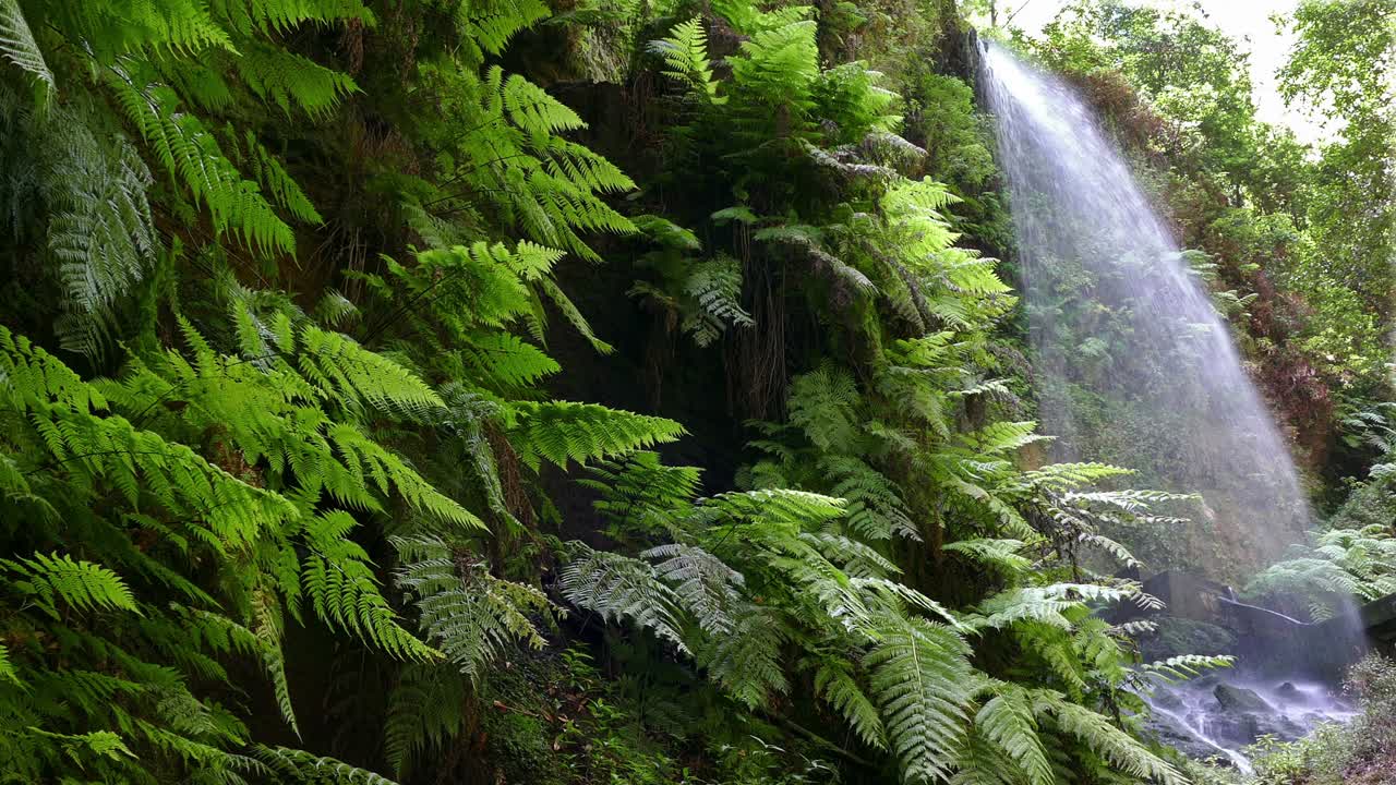 la cascada "los linden", en la isla de la palma, islas canarias, españa.