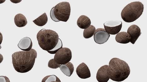 falling coconuts on a white background