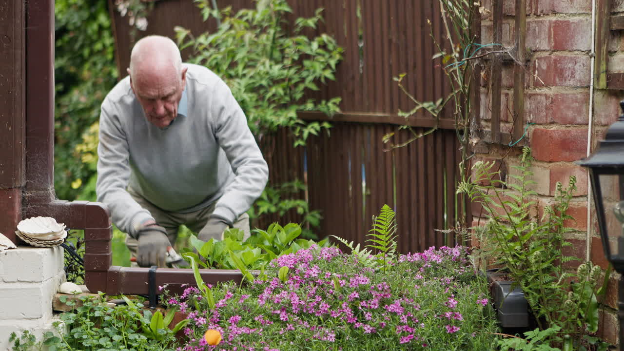 Senior man gardening in a garden
