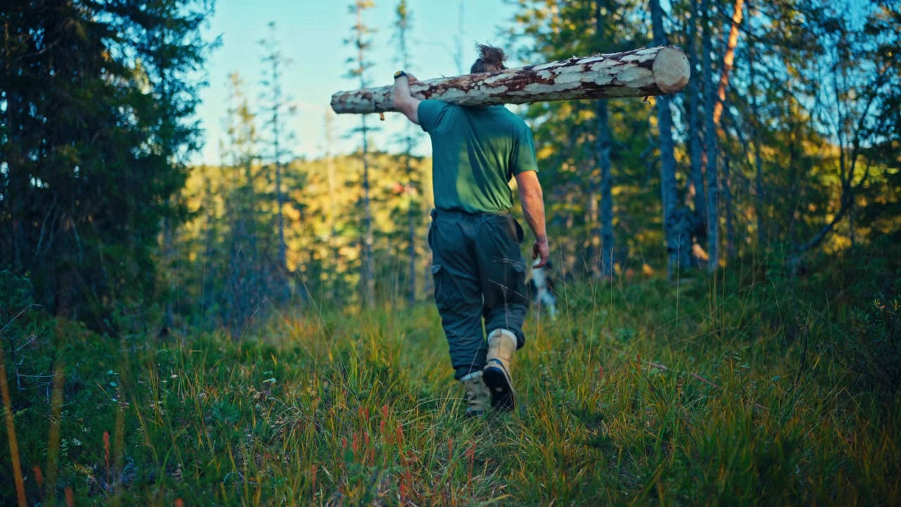 Un uomo cammina attraverso una foresta portando un grosso tronco sulla spalla, con un cane che cammina avanti sul sentiero erboso - Inquadratura statica