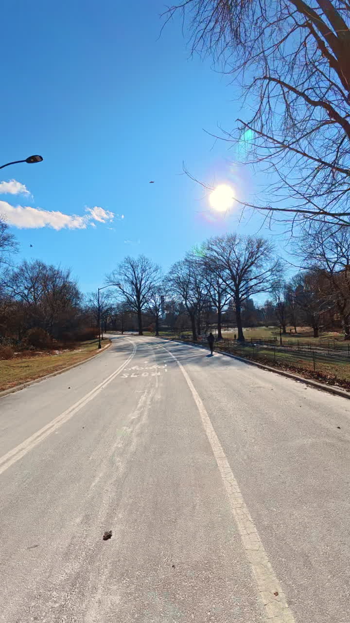 New York, USA, 24. december 2025: Solrig vintervej i Central Park. Tom vej i Central Park under en klar vintersol med lange træskygger, der skaber en fredfyldt og sæsonbestemt atmosfære