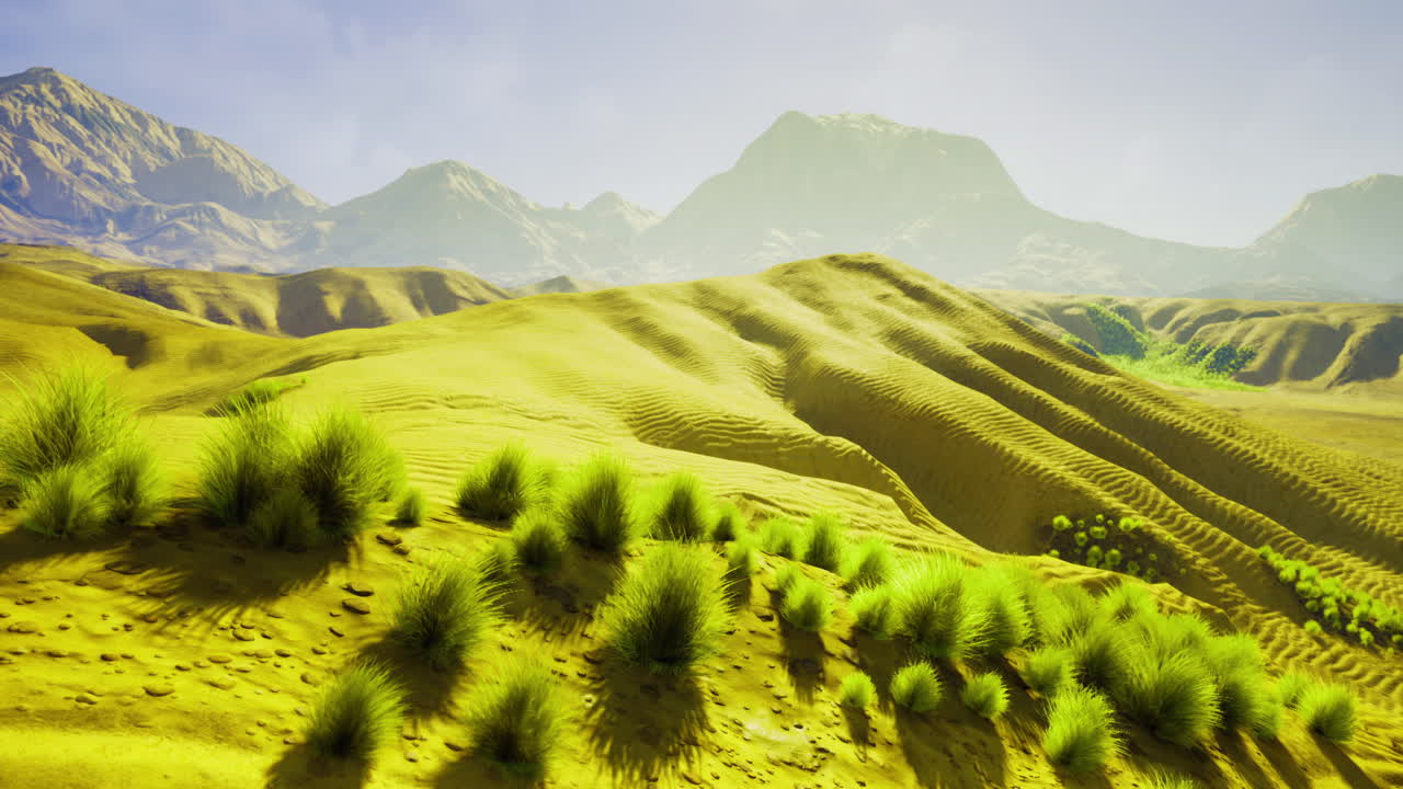 풀이 있는 사막 산악 풍경