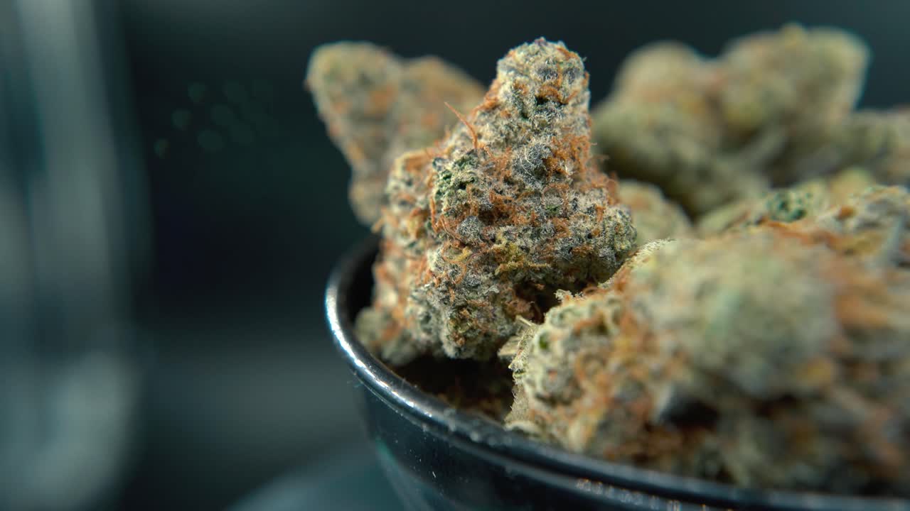 A smooth macro dreamy pan right shot of a cannabis plant, hybrid orange strains, sativa ,marijuana flower, on a rotating stand, slow motion, 4K video, studio lighting