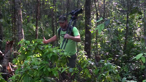 un cineasta camina a través de una jungla o selva tropical con cámara y trípode