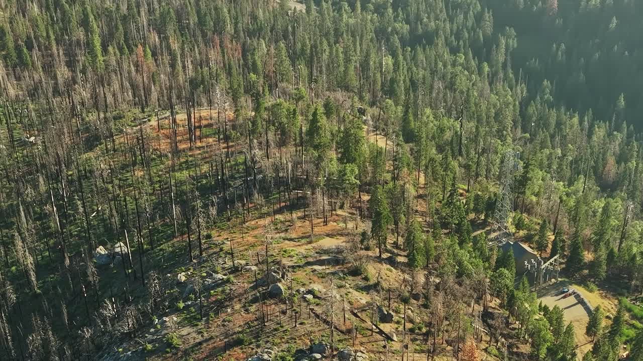 Flygvy över ett skogsområde i USA med tecken på skador från skogsbrand