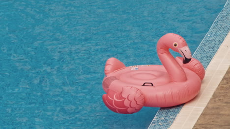 pink flamingo inflatable in a pool