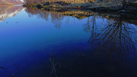 Haus-Am-Ruhigen-Fluss,-Umgeben-Von-Bäumen-An-Einem-Sonnigen-Frühlingsnachmittag