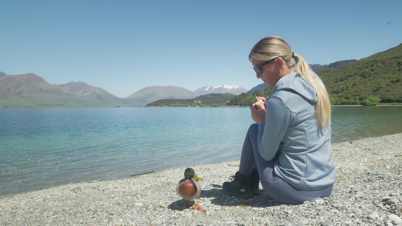 Attraktiv blond kvinde, der fodrer en and med brød, mens hun sidder på en stenstrand