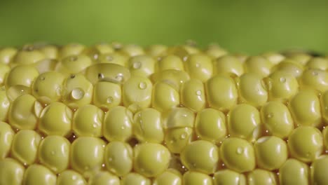 close-up of wet corn kernels