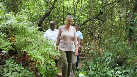 group of diverse seniors enjoying nature walk in lush green forest, smiling and chatting
