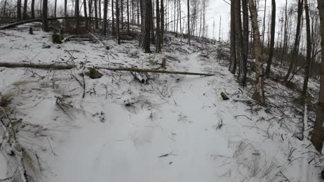 POV-De-Caminar-Por-Un-Sendero-Invernal-En-Thruingia