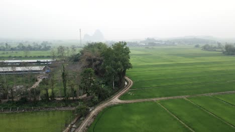 Aerial view of rural agricultural landscape with farm buildings and green fields
