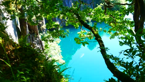 Sparkling-tropical-paradise-turquoise-lagoon-lake-through-dense-jungle-woodland-foliage