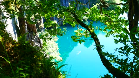 resplandeciente paraíso tropical laguna turquesa lago a través del denso follaje del bosque de la jungla