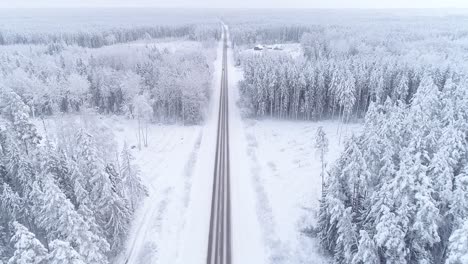 snowfall covered the road and trees with a layer of snow