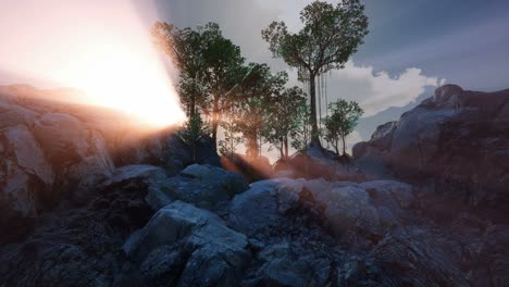 rayos de sol a través de los árboles