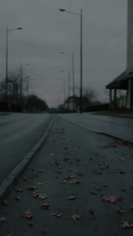 autumn street scene with man