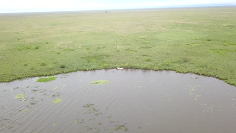 humedales del noreste de argentina disparados con drones