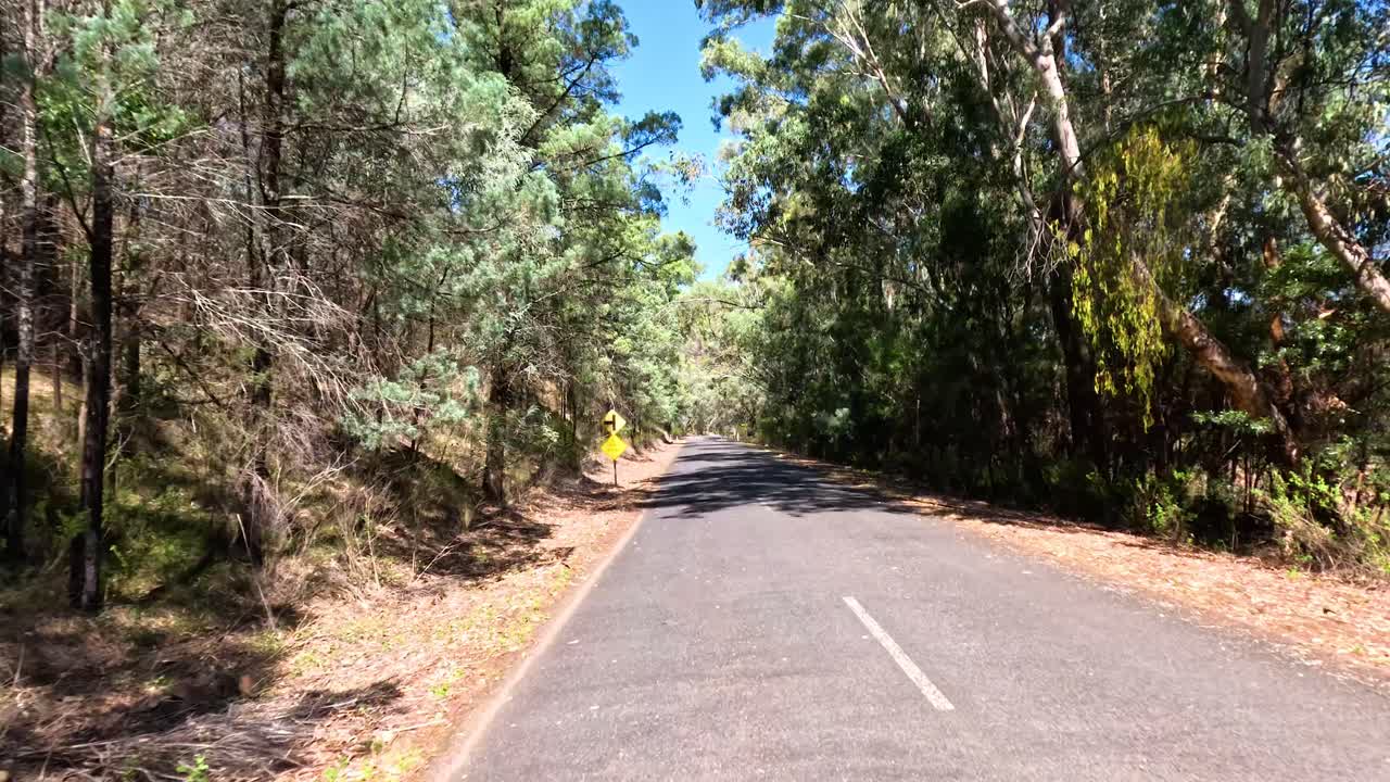 오스트레일리아 의 숲 을 가로질러 운전 하는 것