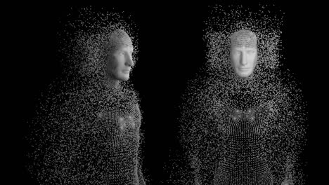 cuerpos humanos sobre un fondo negro