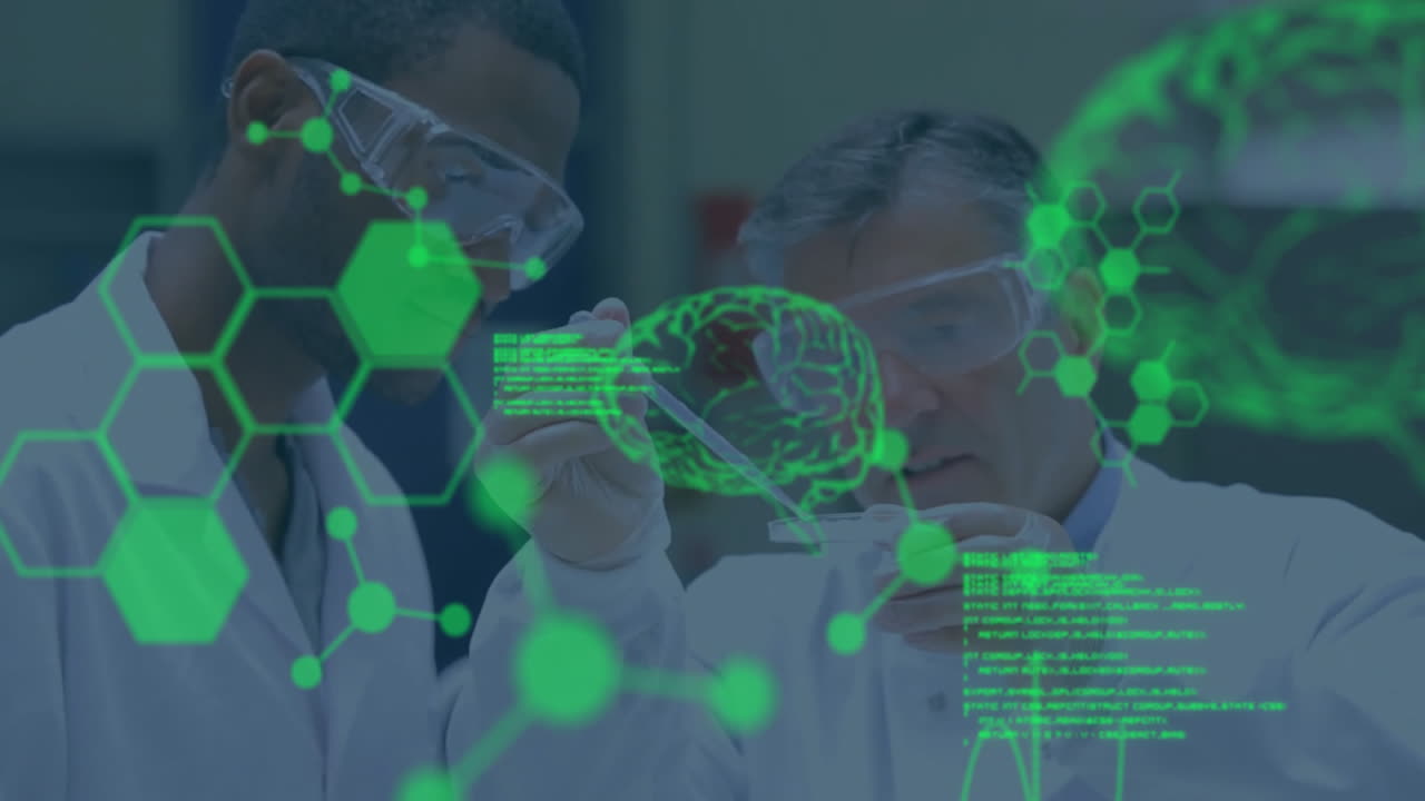 Two scientists examining holographic brain in tech lab showing molecular and hex network overlays