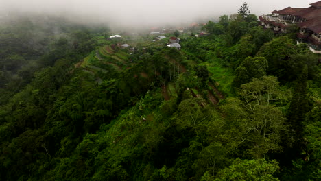 Rodeado-De-Misterio,-Naturaleza-Y-Niebla.