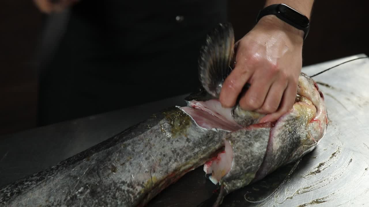 Preparing Catfish