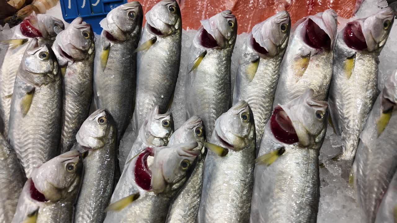 Fresh Fish Displayed on Ice at a Market