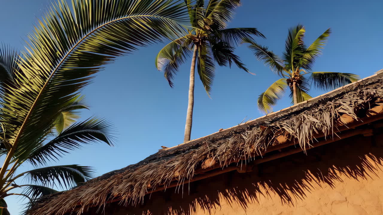 Tropical Hut Under Palm Trees