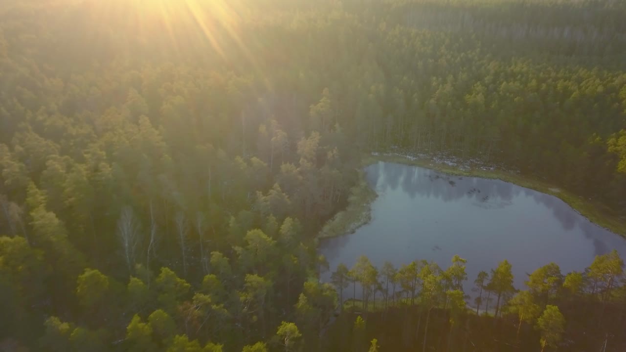Forward moving aerial showing tall dense trees surrounding waterbodies at uninhabited land during bright sunshine.