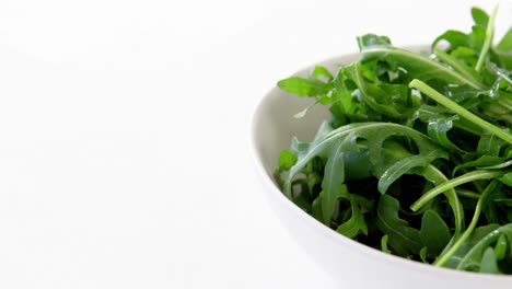 Arugula-in-bowl